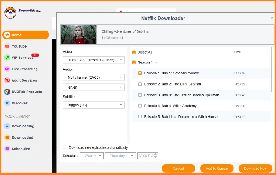 streamfab netflix video downloader screenshot